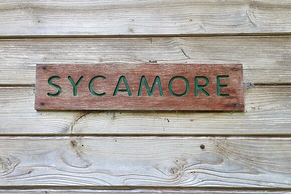 Sycamore Lodge