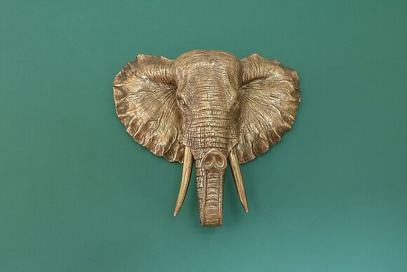 James Ville Marina Lodge 22