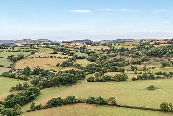 Oak View