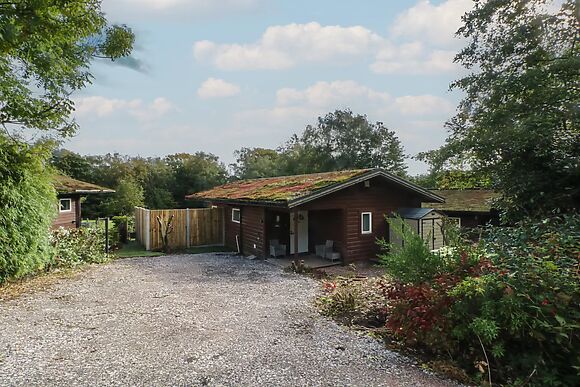 Woodlands View