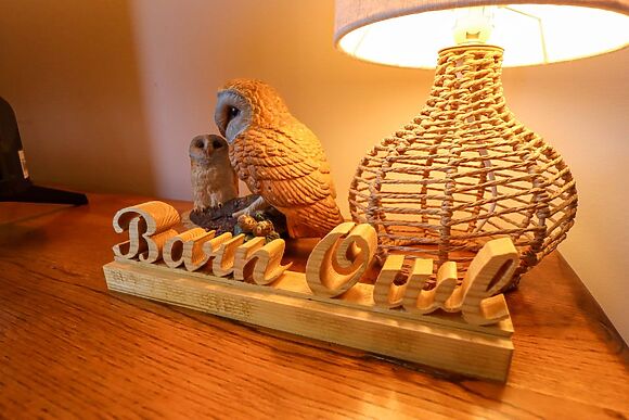 Barn Owl