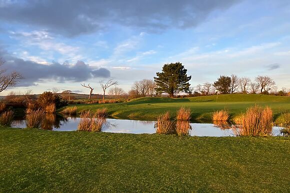 Fairways 4