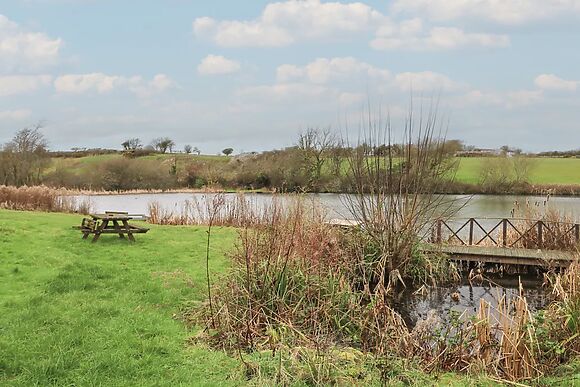 Ty Llyn