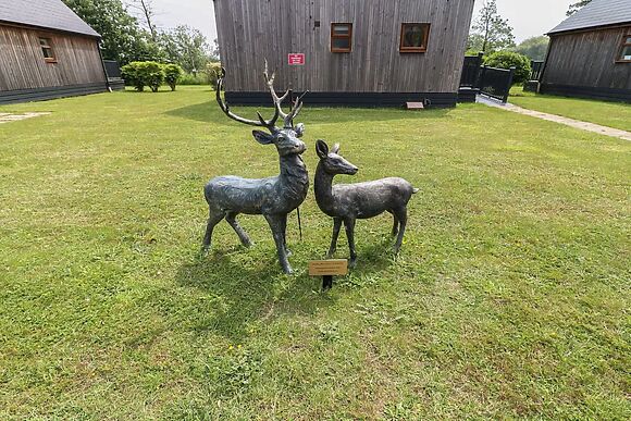 James Ville Marina Lodge 10