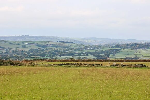 Riber View Barn