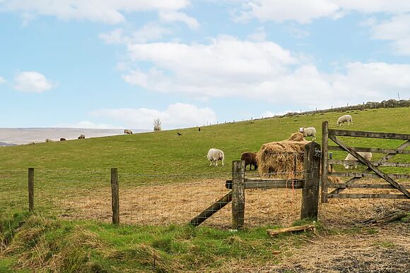 2 Manorhouse Farm
