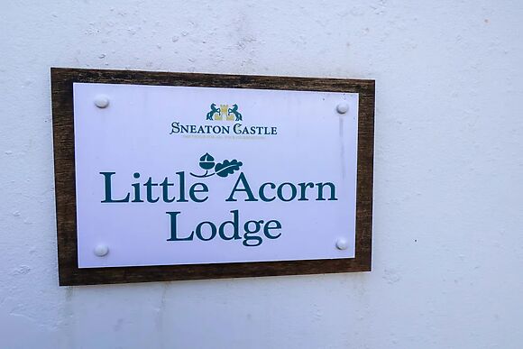 Little Acorn