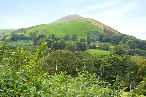 The Byre