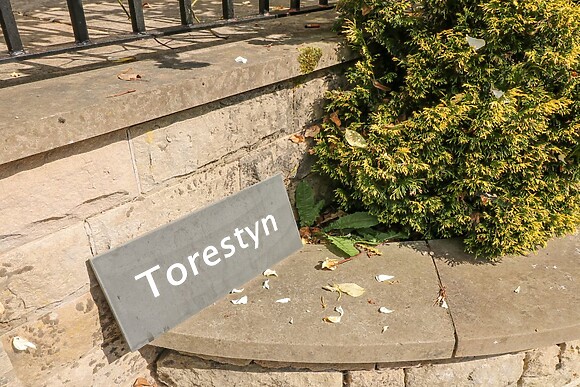 Torestyn