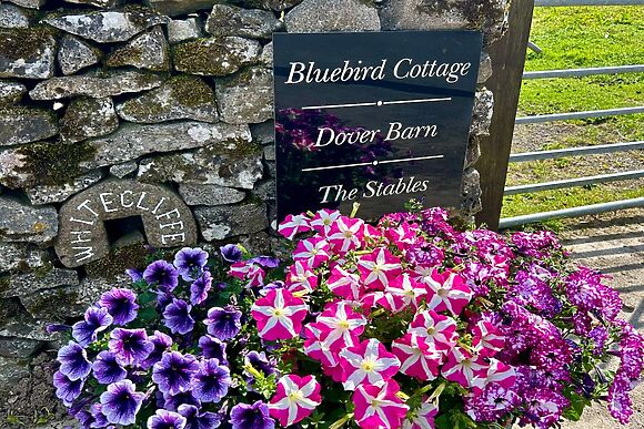 Dover Barn