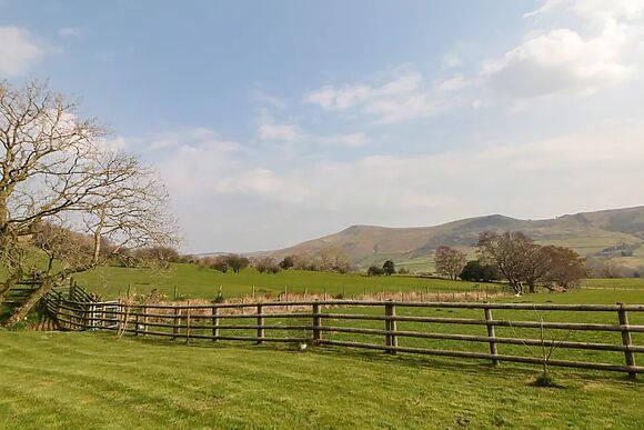 Meadow View