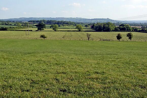 The Dairy