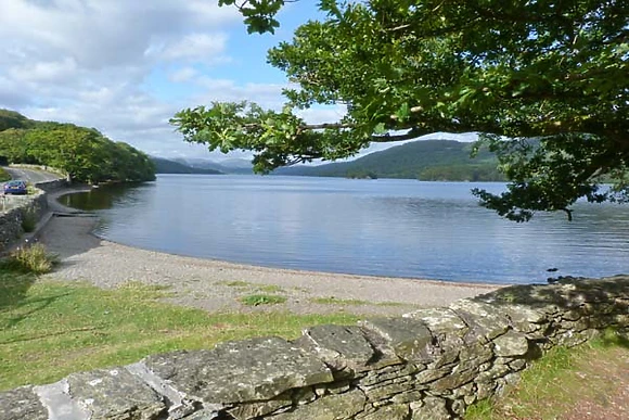 Copper Beech Cottage
