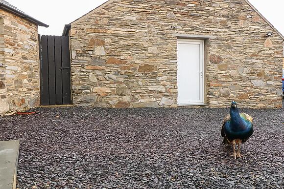 Garth Morthin The Barn
