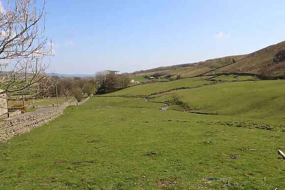 Meadows Edge