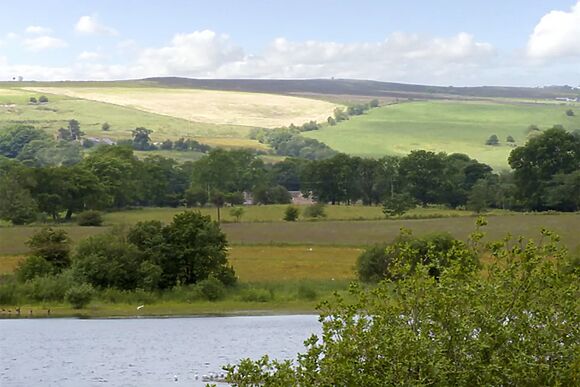 The Rindle