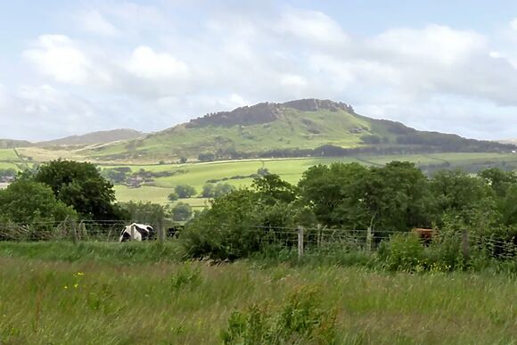 The Rindle