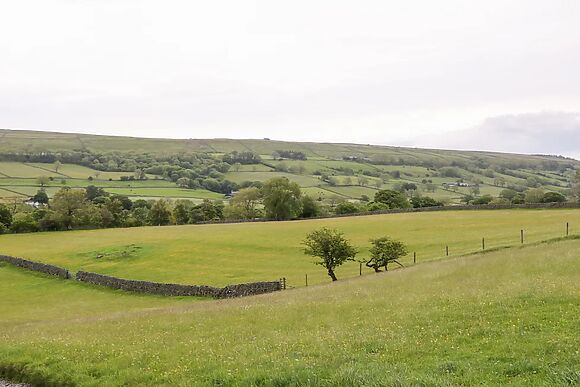 Shepherd's Cottage