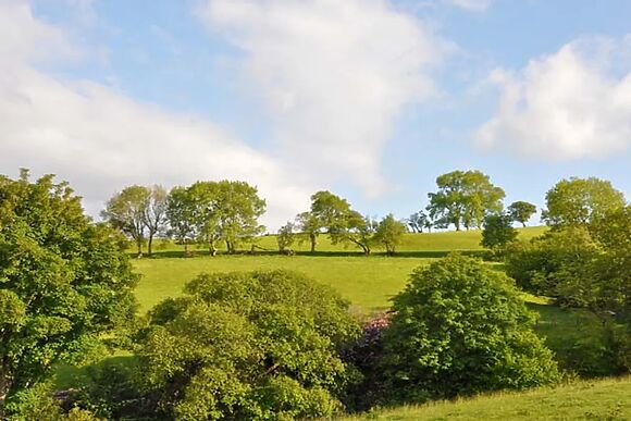 Hendre Aled Cottage 1