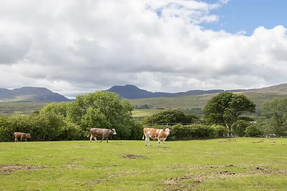 Hendre Cottage