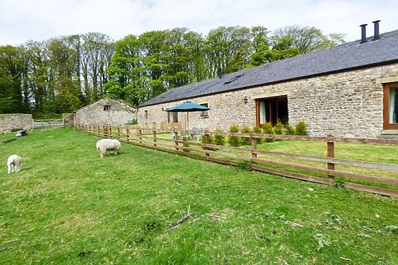 Poppy Cottage