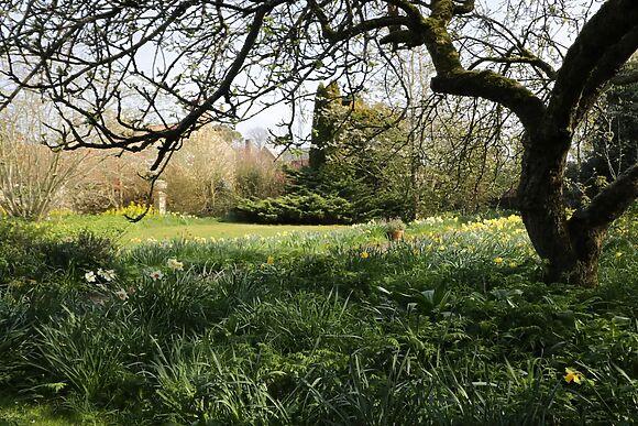 Manor Farm