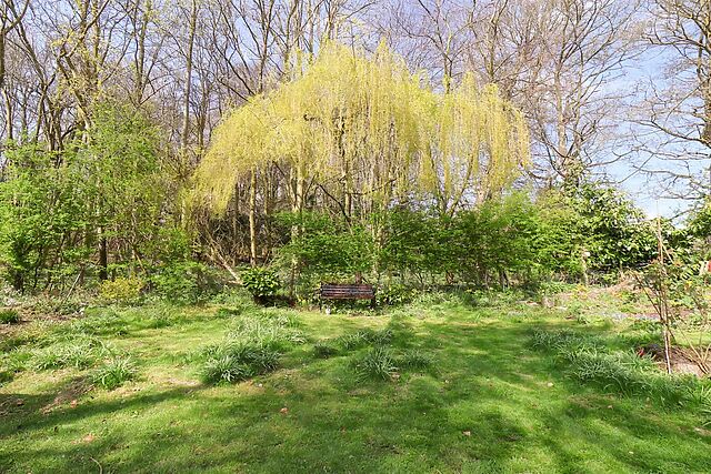 Cupid's Cottage