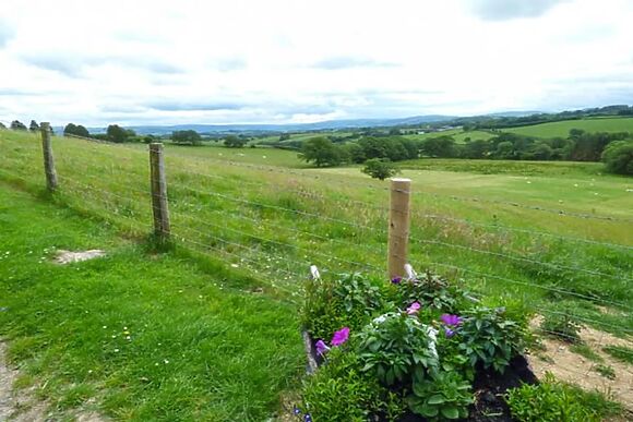 Black Mountain View