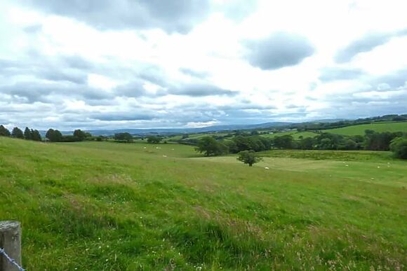 Black Mountain View