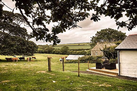 Vine Cottage