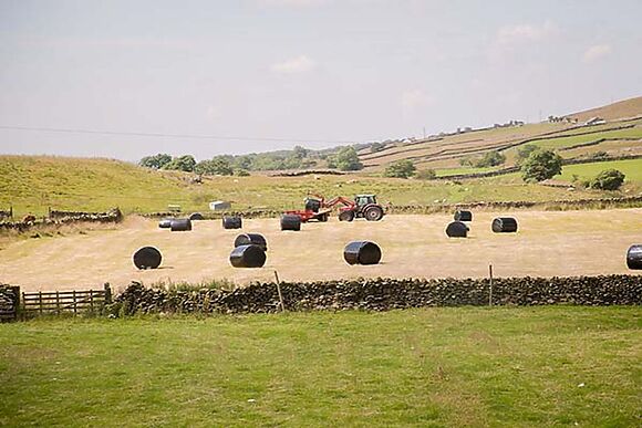 Dale House Farm Cottage