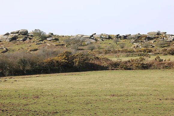 Badgers Sett