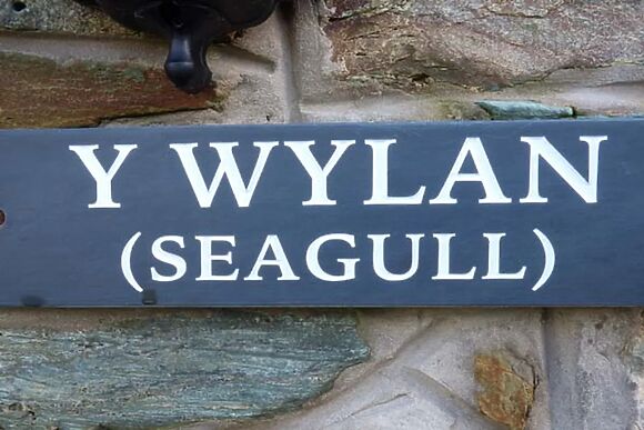 Y Wylan