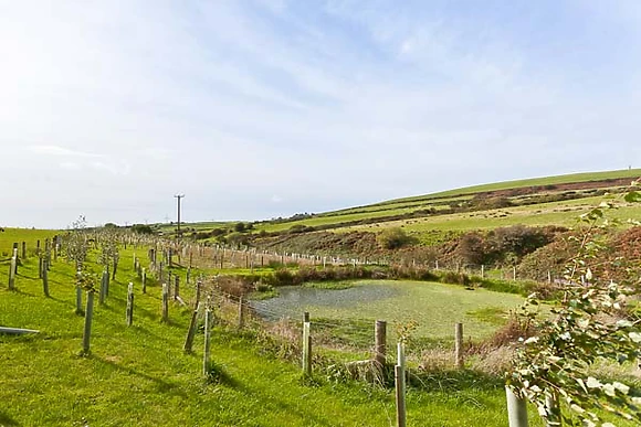 Ash Lodge