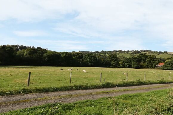 Lowdale Barns West