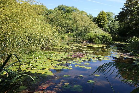 Pond Cottage