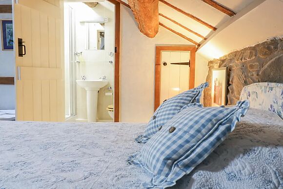 The Cottage at Lower Dolgenau