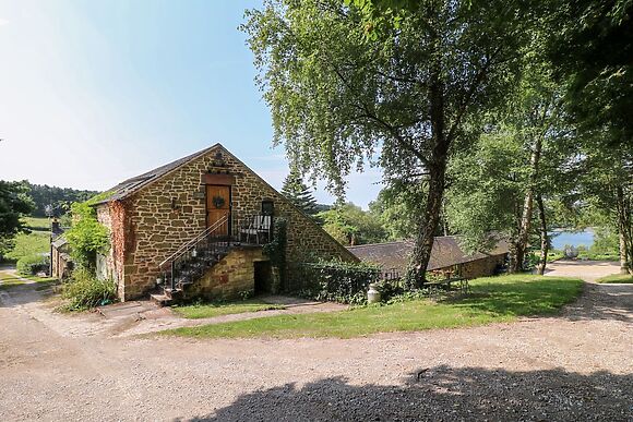 The Ivy Barn
