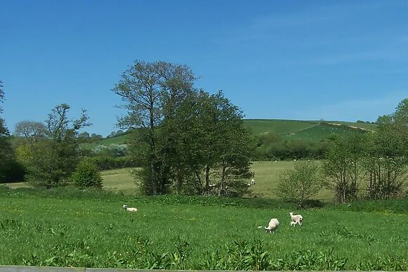 West Perry Hay