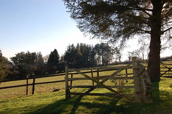 Forestoke Linhay