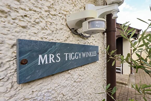 Mrs Tiggywinkles