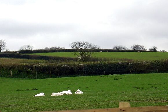 Bowbeer Barn