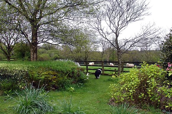 Burham Barn