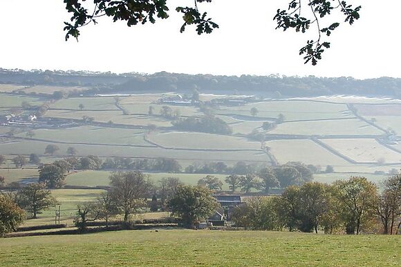 Swallows Cottage