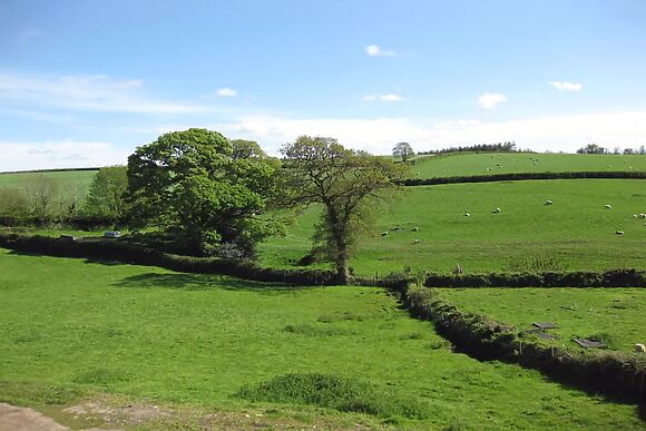 Haye Barton Farm