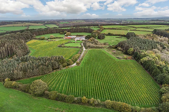 Tregoninny Vineyard And Woodland Farmhouse