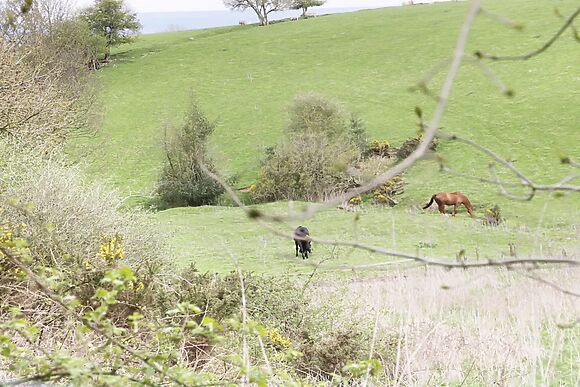 16 Badgers Retreat