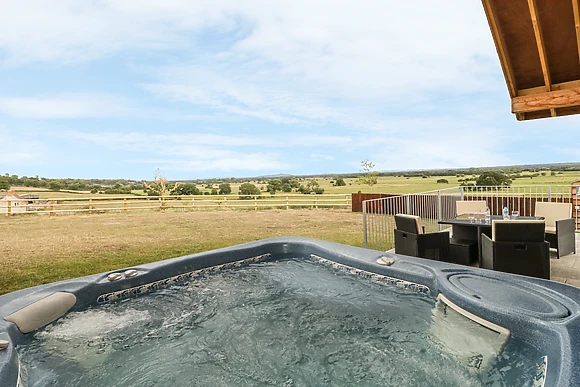 Swan Lodge Castle Farm