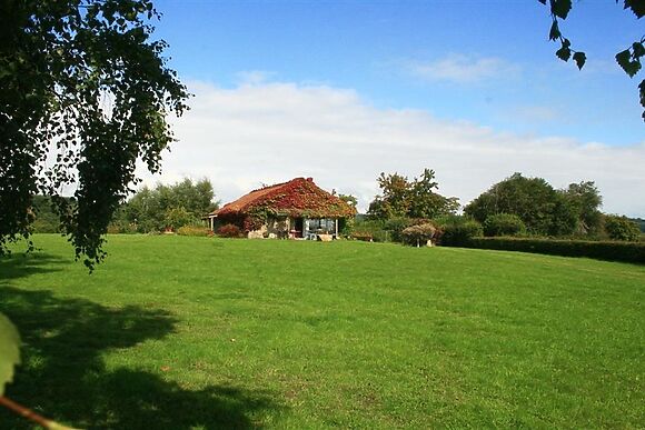 The Piggery