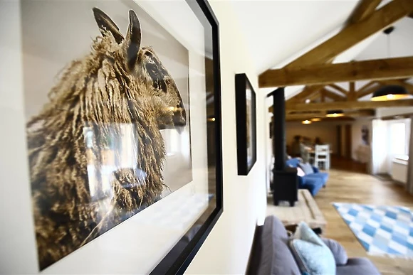 Court Hayes Farm Barns